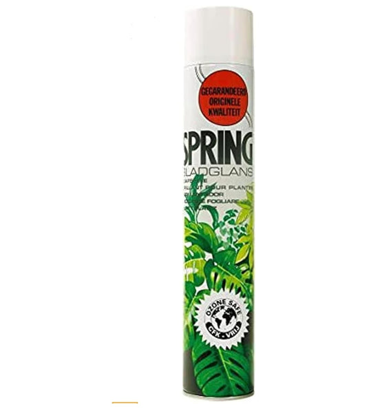 🌿 ملمع اوراق النباتات (Leaf Shine)