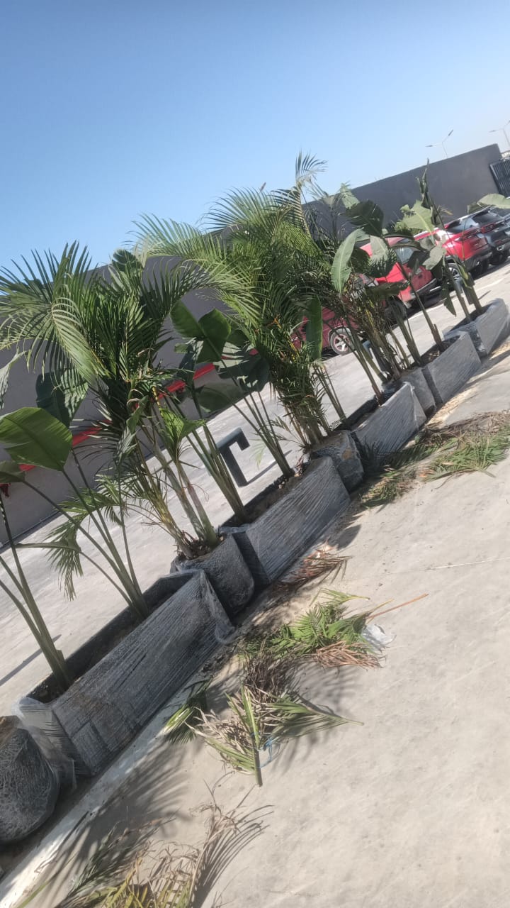 احواض GRC 🪴 (خصم خاص للكميات)