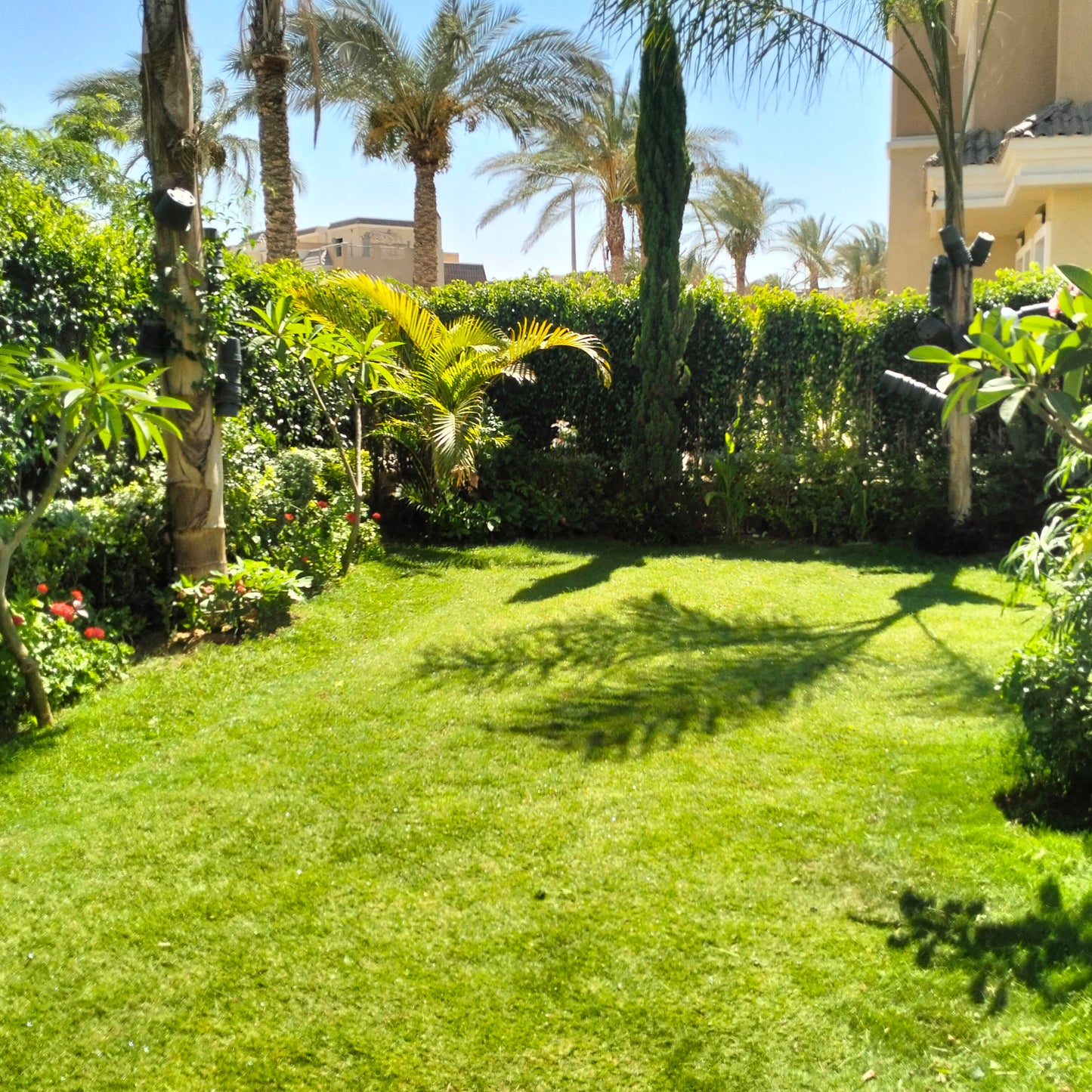 🌿 صيانة الحدائق المنزلية | Home Garden Maintenance