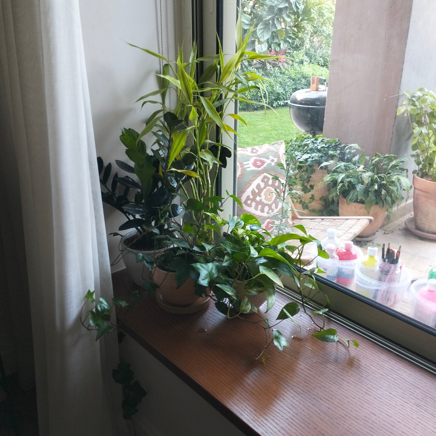 🌿 صيانة النباتات الداخلية (Indoor Plant Maintenance)