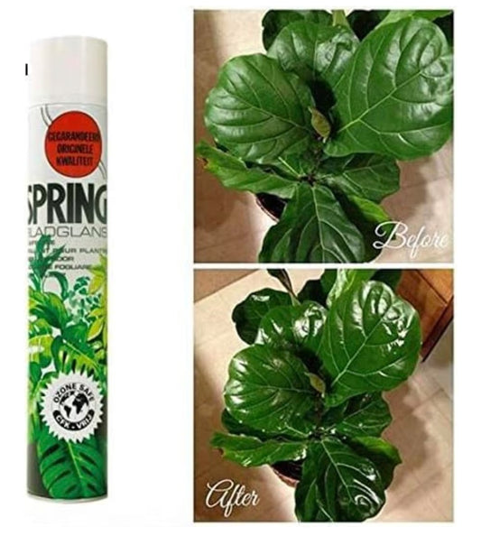 🌿 ملمع اوراق النباتات (Leaf Shine)