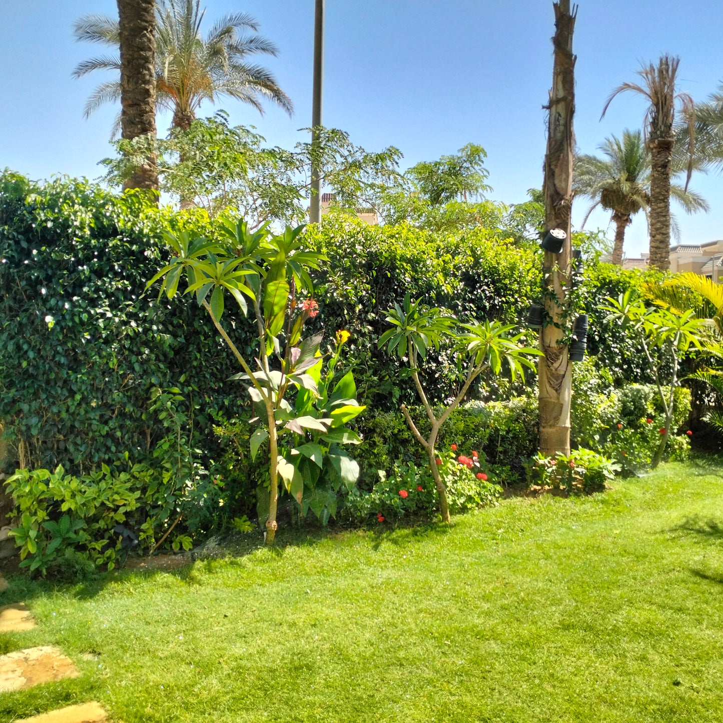 🌿 صيانة الحدائق المنزلية | Home Garden Maintenance